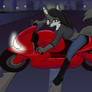 Iris motorbike
