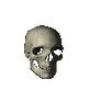 360 Skull [F2U]
