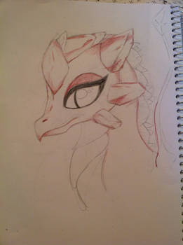 Ruby Dragon drawing