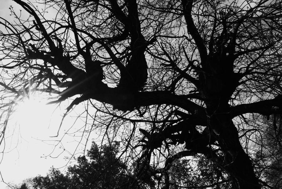 random silhouette by SloppyStylist4 on DeviantArt