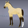Traaker Foal Design