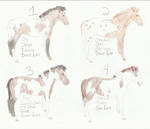 ~foal auction