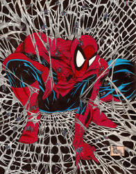 Todd McFarlane's Spider-Man