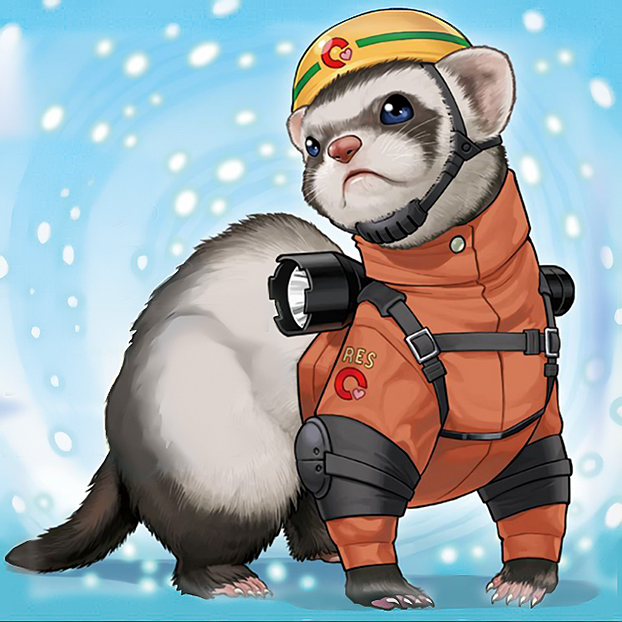 Rescue Ferret