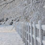 on the fence