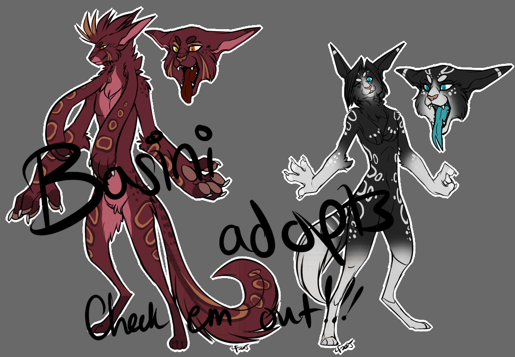 Basini Adopts and INFO