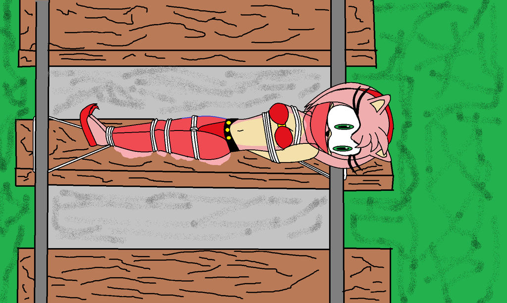 Amy Rose on the Tracks