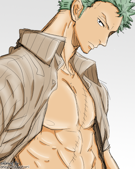 Zoro sexy coloring