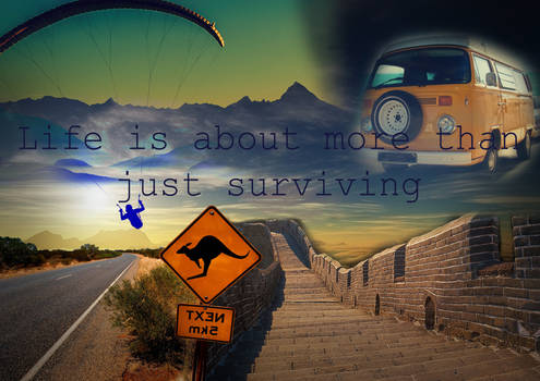 Life is about more than just surviving