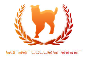 Border Collie Breeder Logo