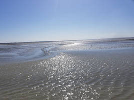 Les plages du Mont Saint-Michel