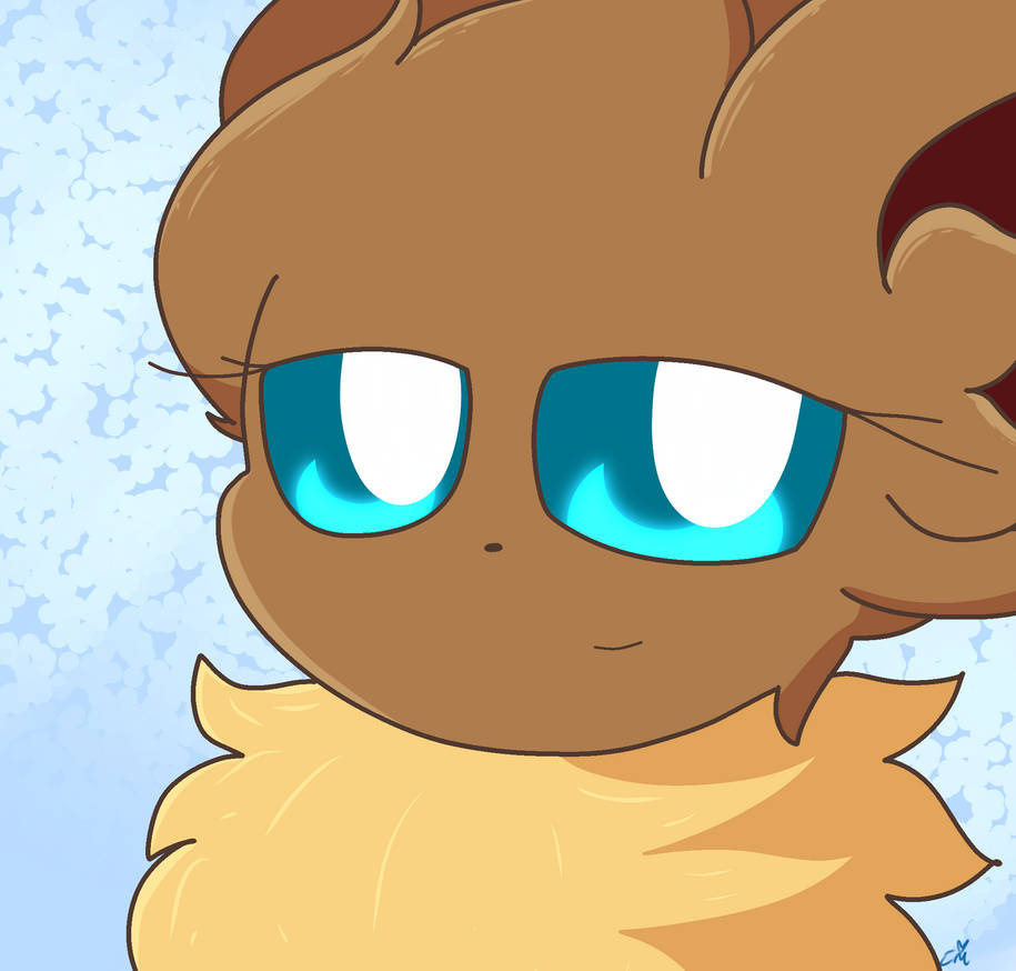 Picture-Perfect pfp by TorchicMaster on DeviantArt