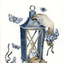 Lantern Light
