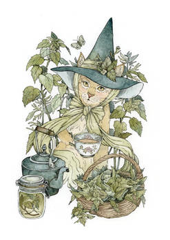 Nettle Witch Cat