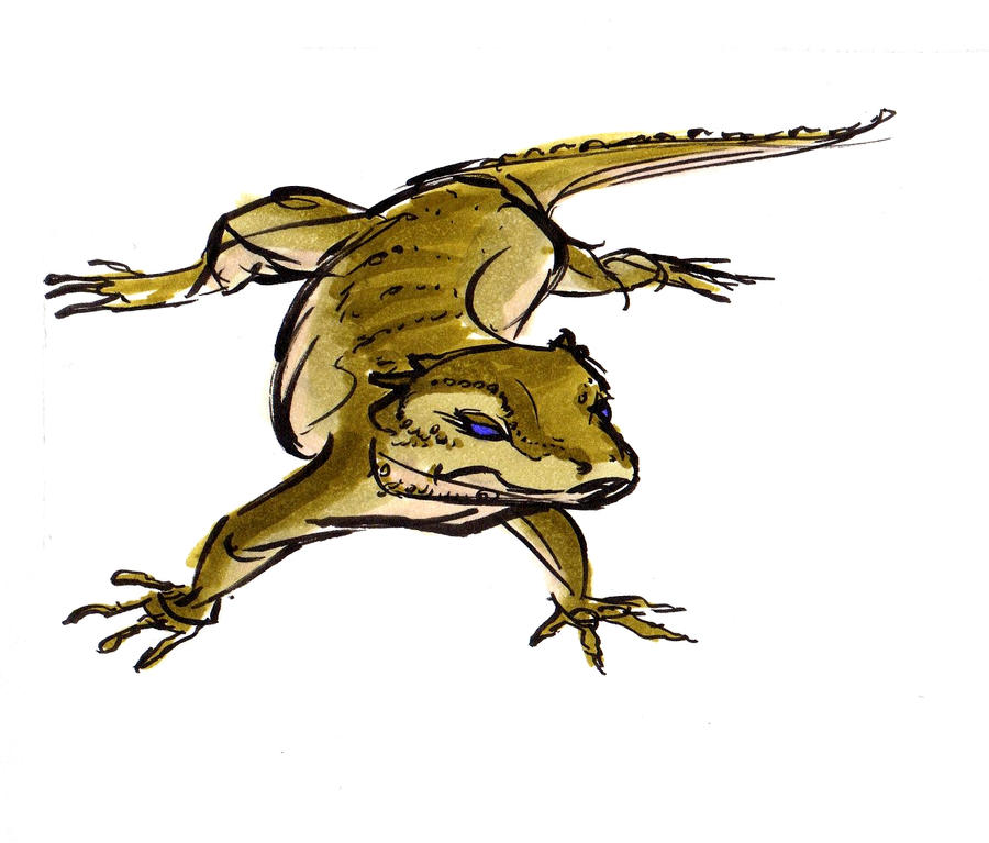 Grumpy Lizard by SKETCHfireRAT on DeviantArt