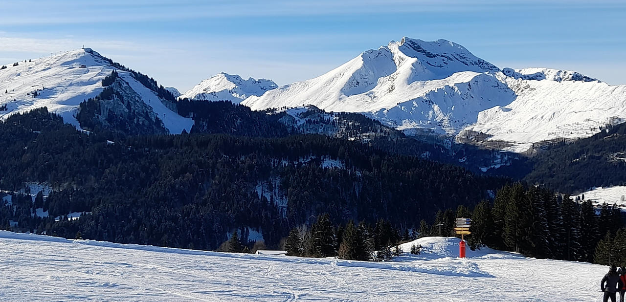 The French Alps by nerfpainter123 on DeviantArt