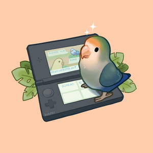 Commission - Gunther the lovebird