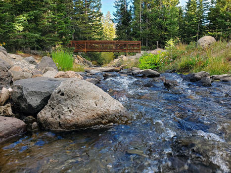 Grand Mesa Stream