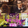 Panic.At The Disco:2 Banners