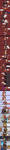 Drana_War_New_Haircut2_down.jpg
