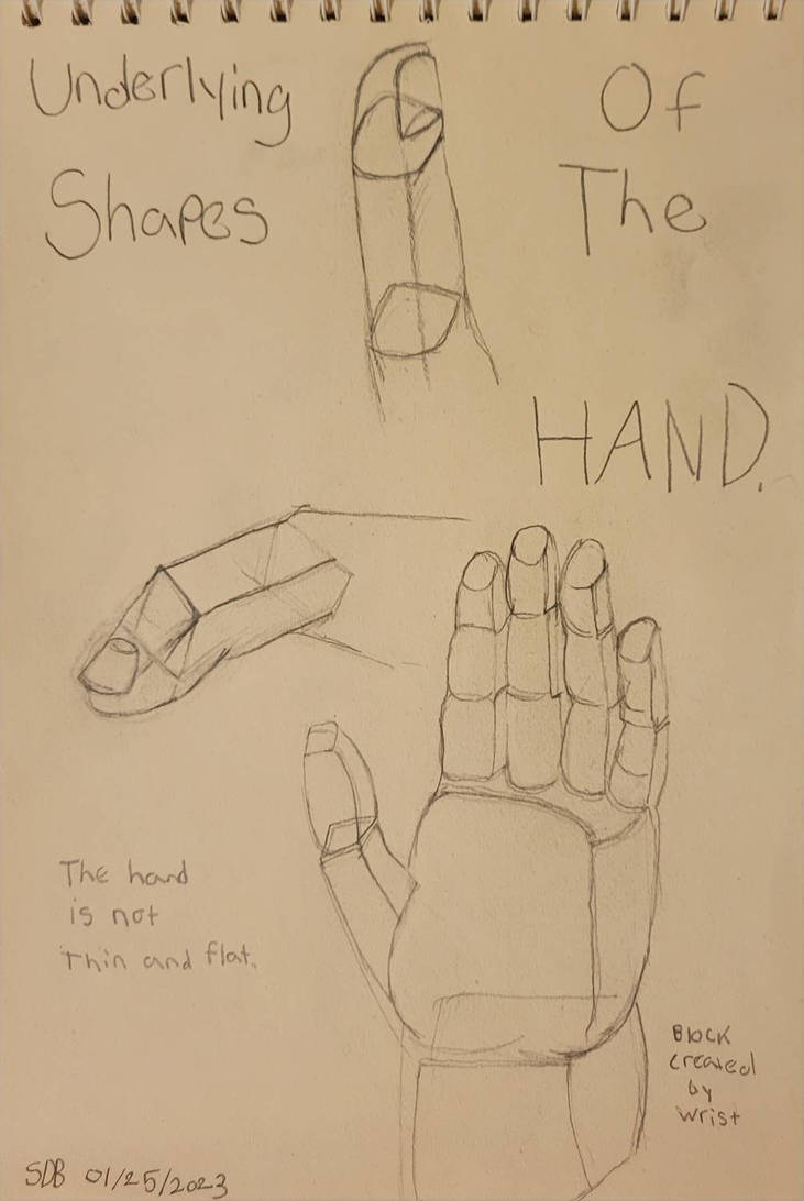 Human Hand Practice by WowLovely88 on DeviantArt