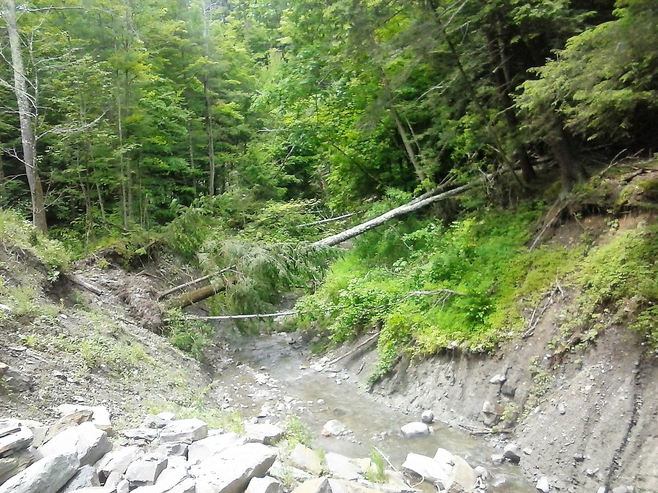 Deep Chasm 2 by DexStewart13 on DeviantArt