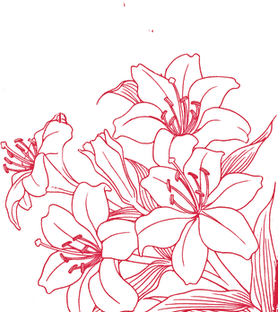 FLOWERS PNG