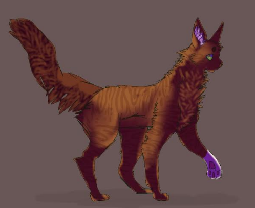 Warriors - Squirrelflight