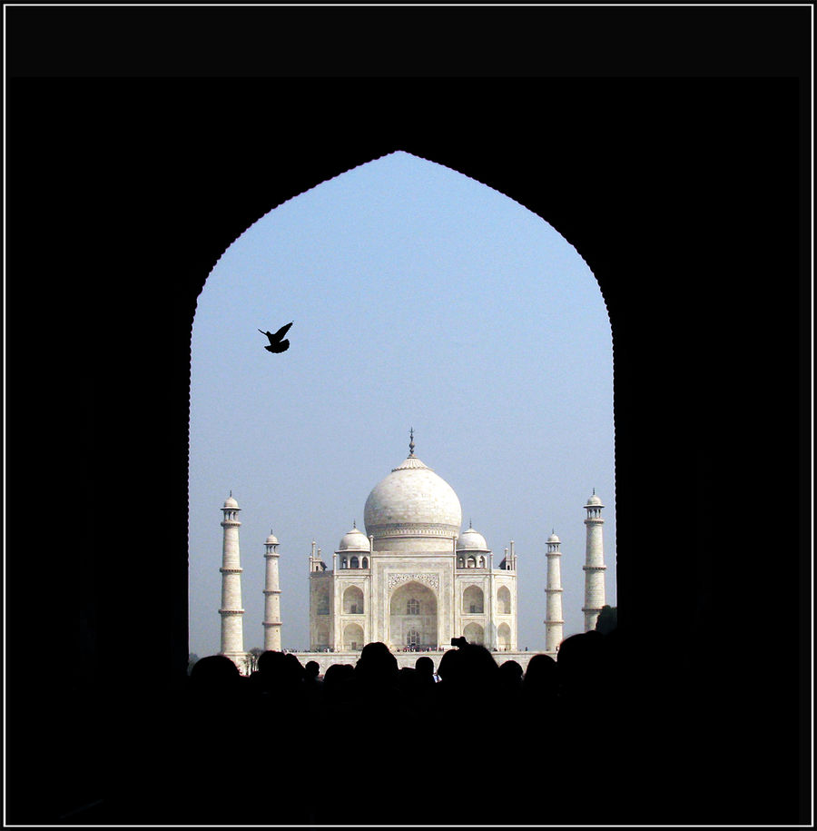 Enter the Taj