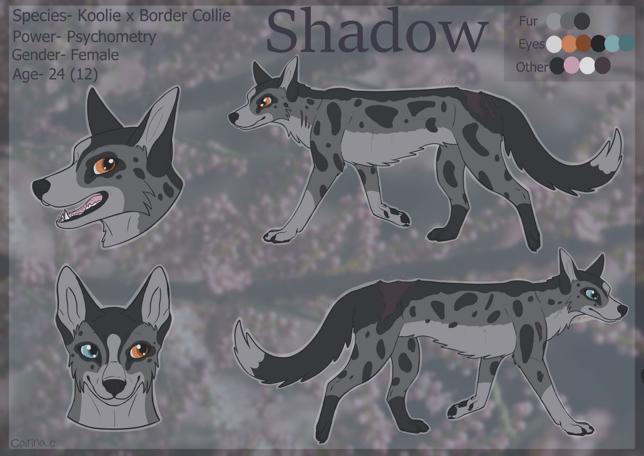 Shadow Reference Shadow- Reference Sheet by Cairina-Creatures on DeviantArt
