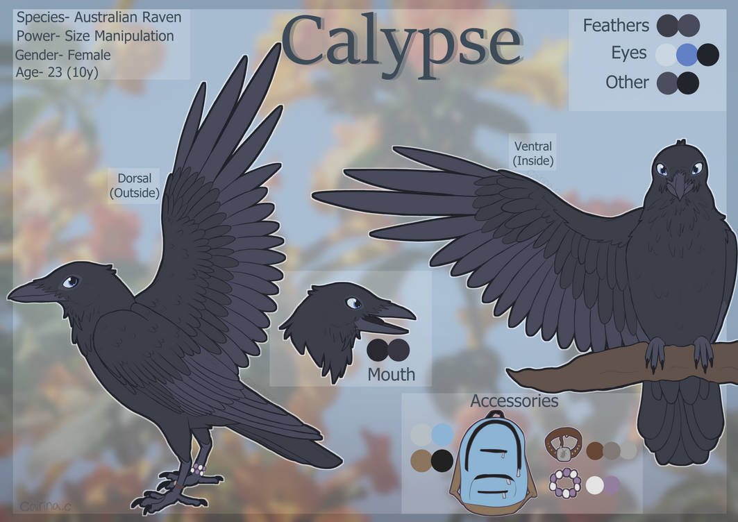 Calypse Calypse- Reference Sheet by Cairina-Creatures on DeviantArt