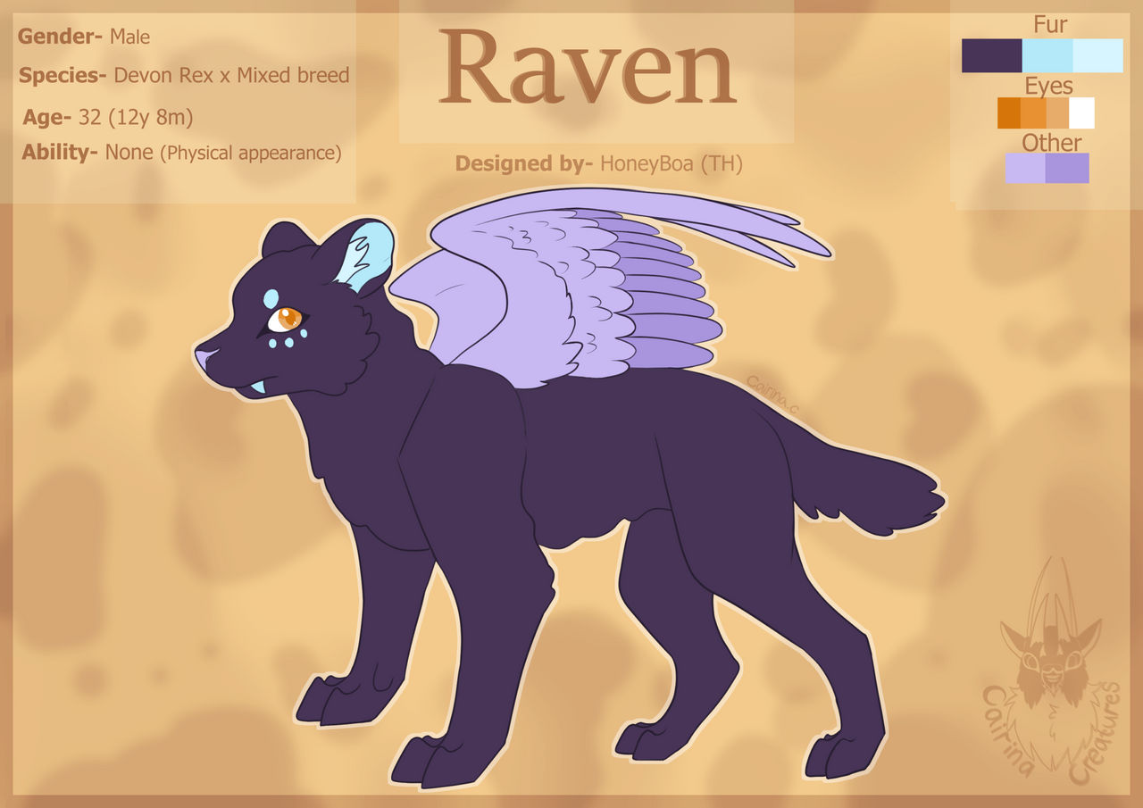 Raven- Reference Sheet by Cairina-Creatures on DeviantArt