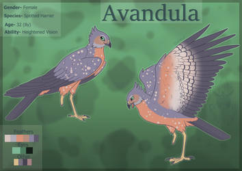 Avandula- Reference Sheet