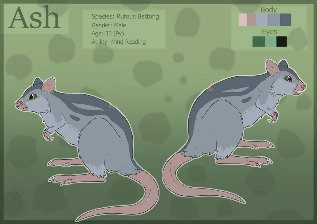 Ash Refrence Ash- Reference Sheet by Cairina-Creatures on DeviantArt