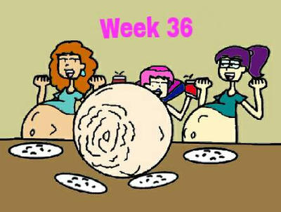 Deviantart Decuplets Hildy's decuplets (week 36) by AngrySignsReal on DeviantArt