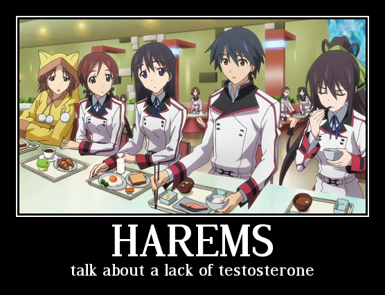 Harems in Anime