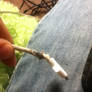 My iPod Cord