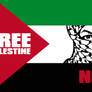 Free Palestine Now