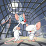 They're Pinky and the Brain