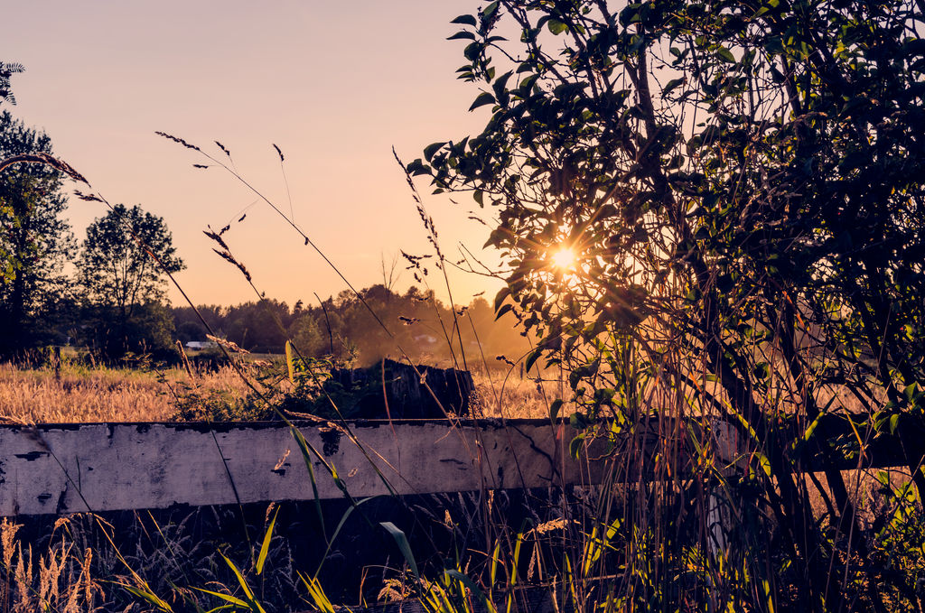 Sunset on the farm