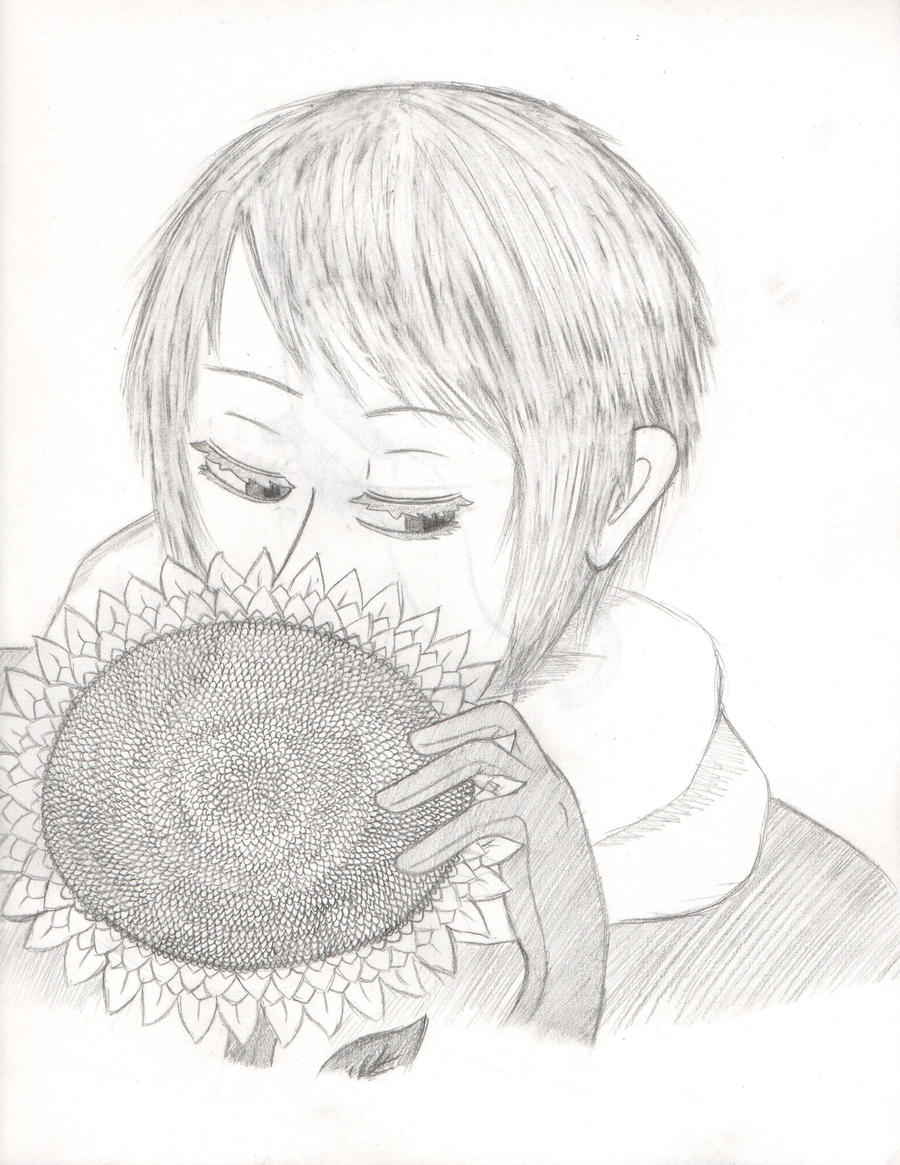Russia And His Sunflower