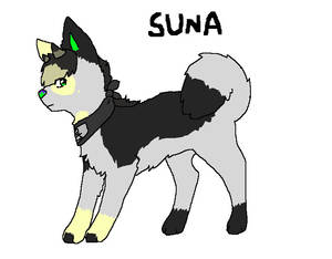 Suna