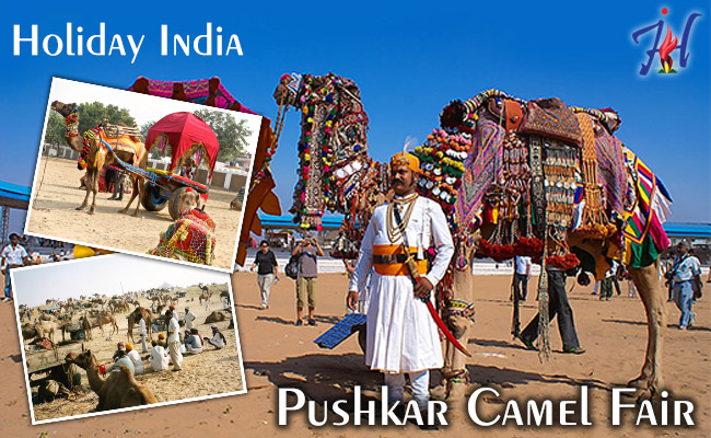 Pushkar Camel Fair Festival India| Theholidayindia