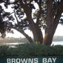 Browns Bay, Porirua