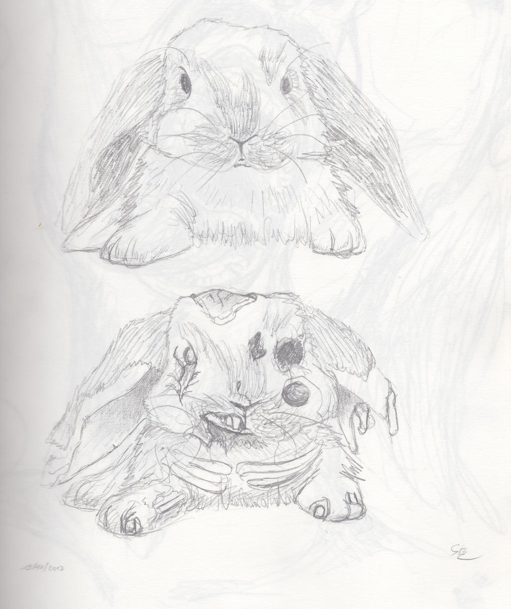 zombie rabbit by Warlag on DeviantArt