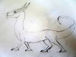 Random dragon sketch