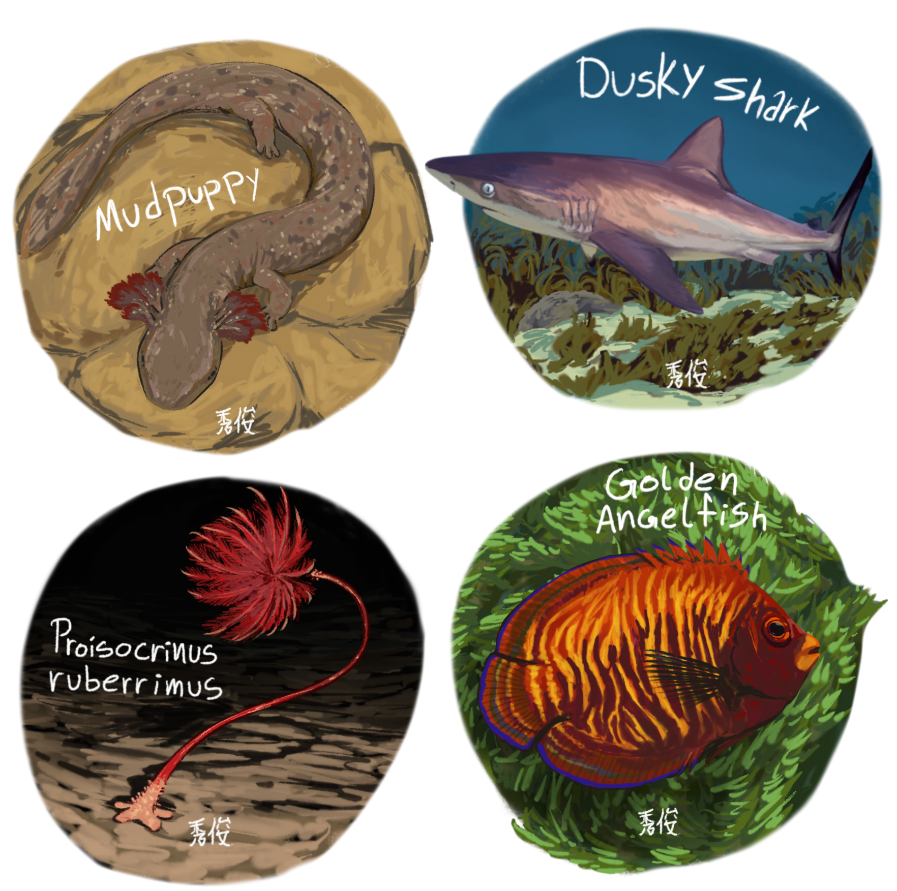 Weekly Sketches - Week 12 (2025)