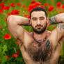 Zander