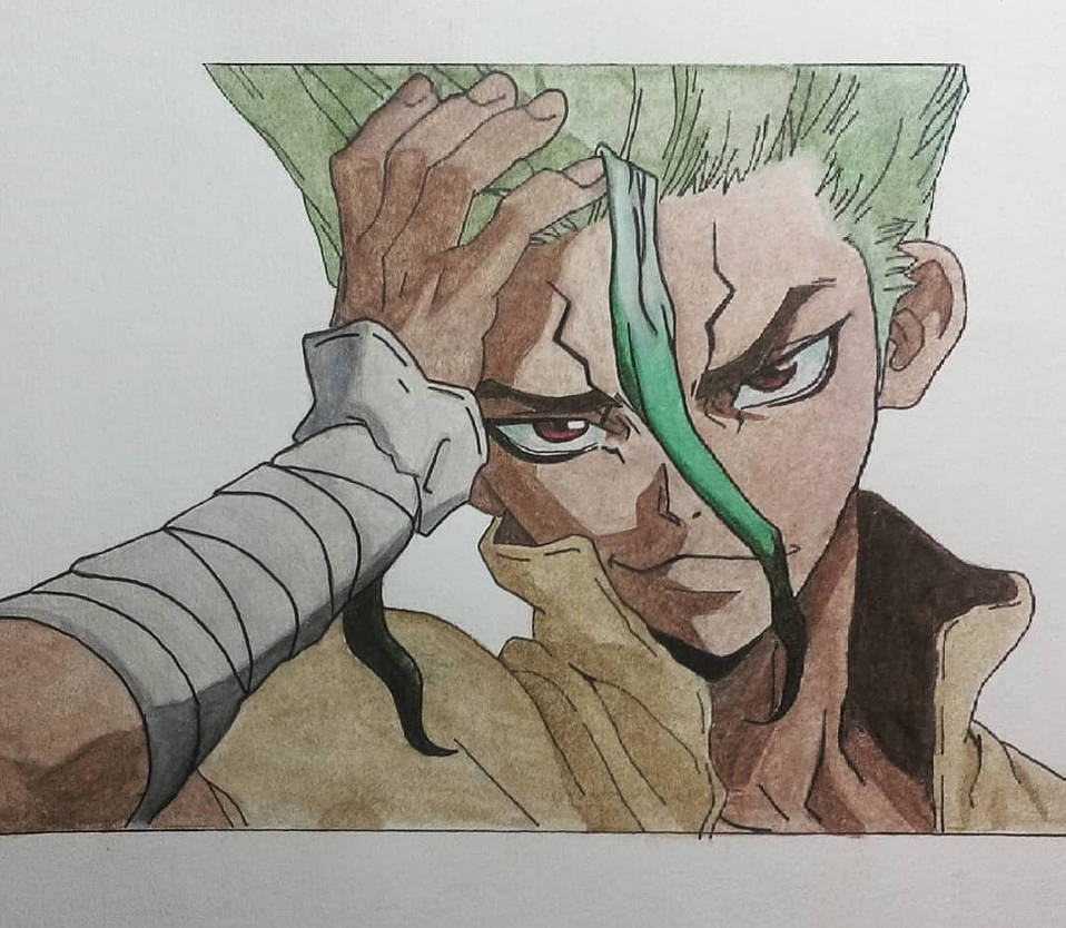 Senku by kaichi23 on DeviantArt