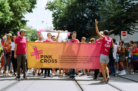 Zurich Pride Pink Cross IV